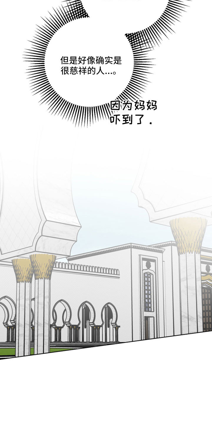 第62章：【第二季】很慈祥的人26