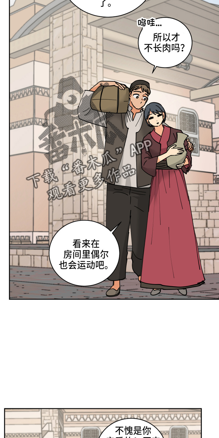 第28章：日记22
