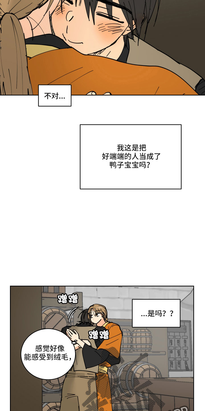 第45章：鸭子宝宝26