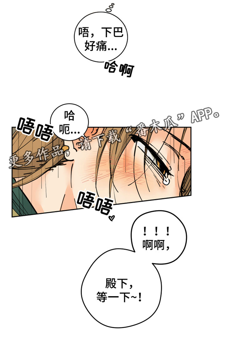 第13章：决心21