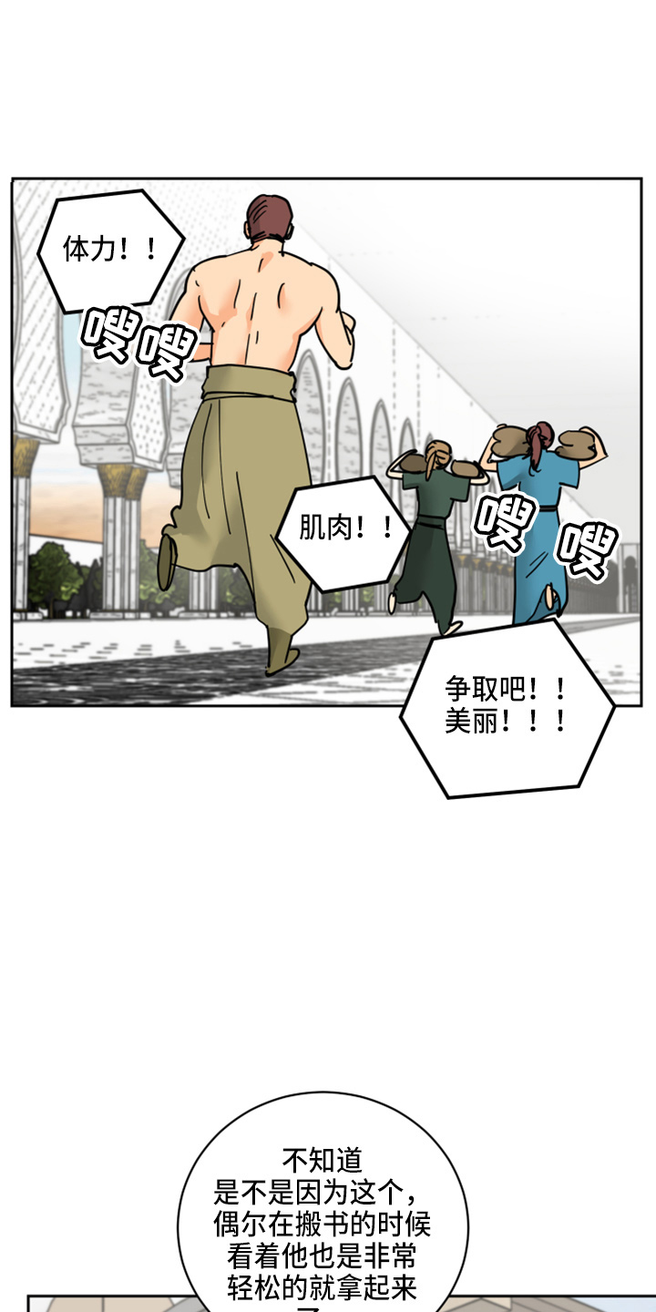 第28章：日记21