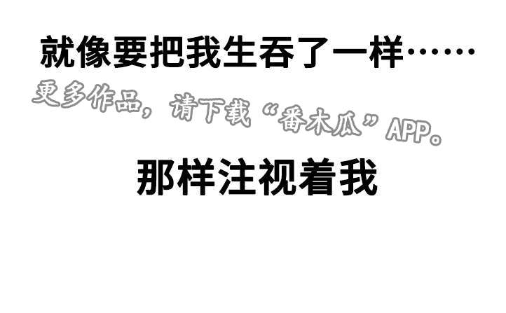第17章：阴谋14