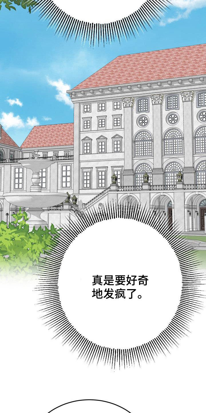 第23章：飞蛾扑火10