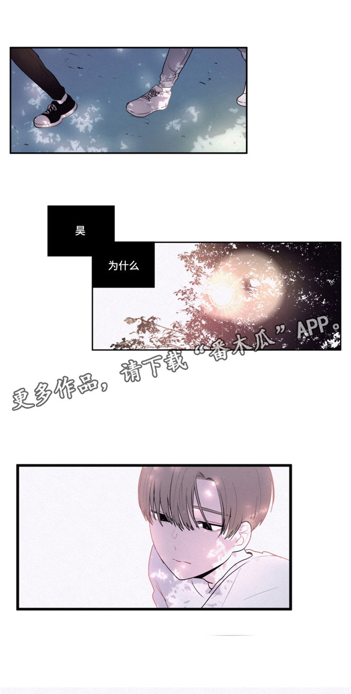第21章：到底想要藏什么5