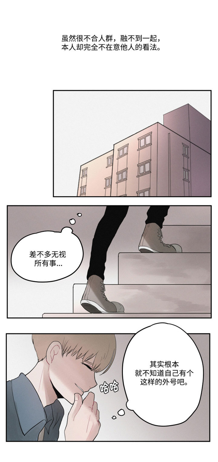 第1章：谜一样的男孩14