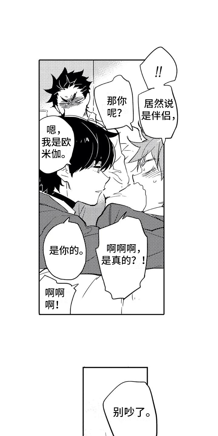 第2章：命运伴侣1