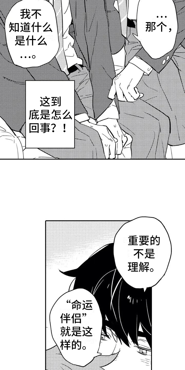 第1章：归属10