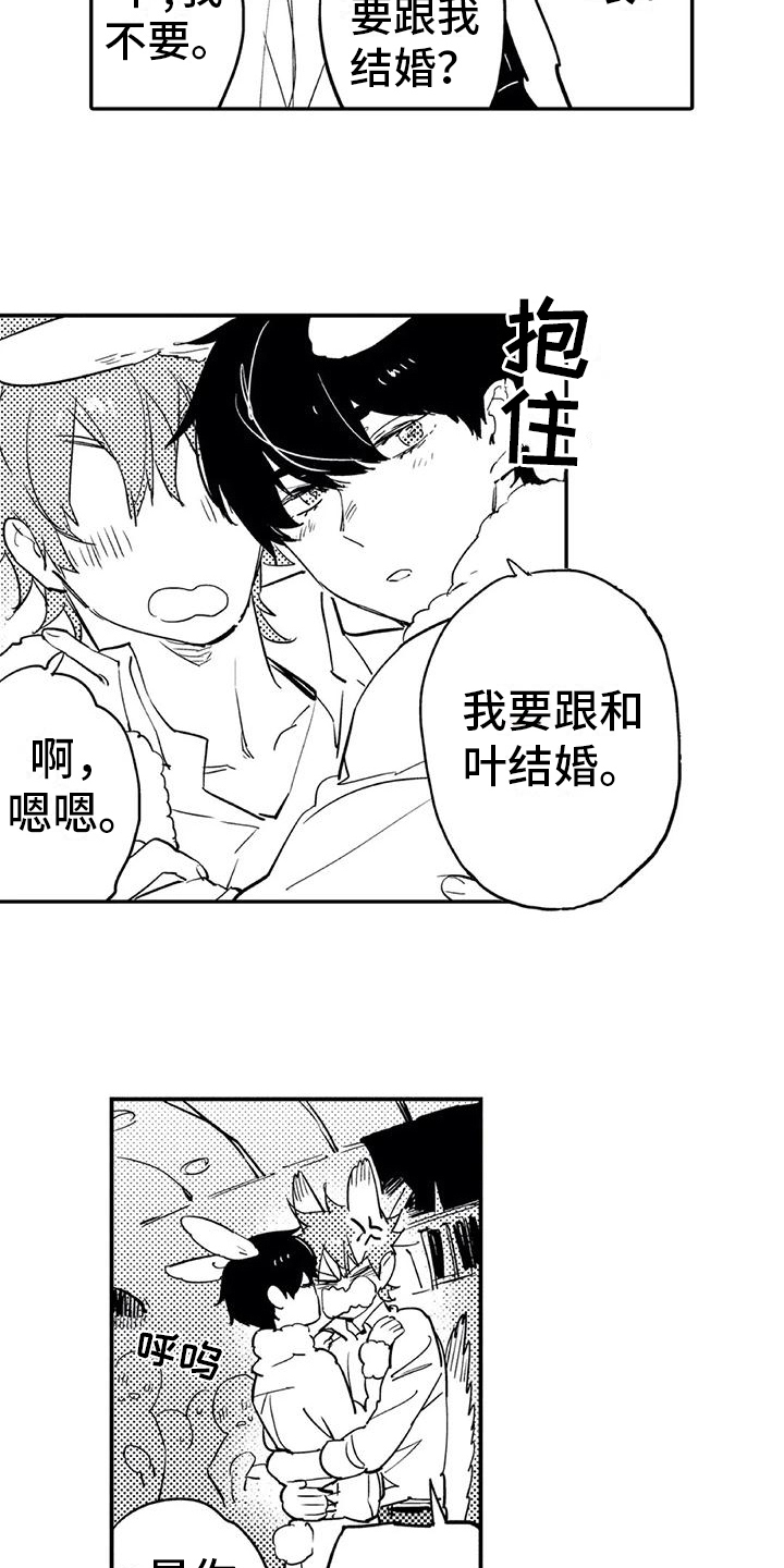 第17章：庆典12