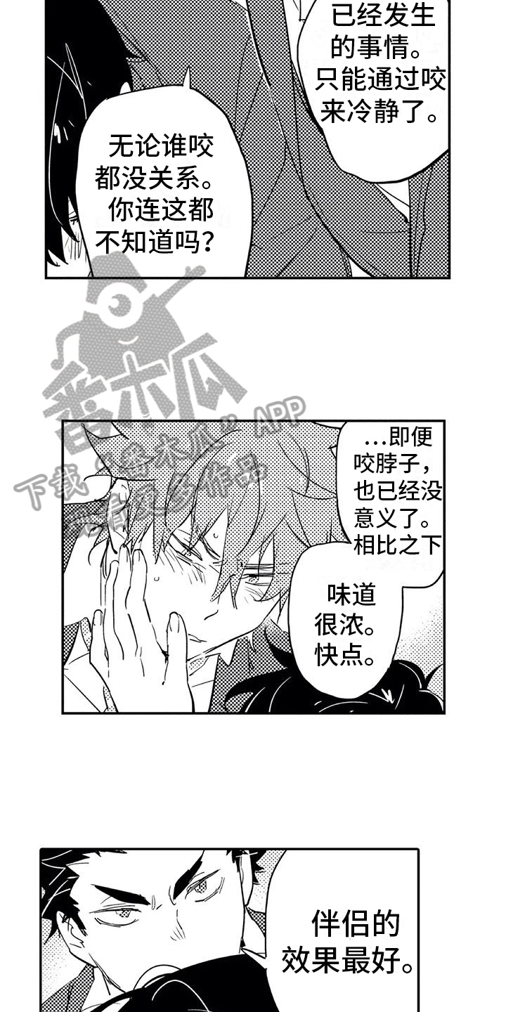 第8章：归属10