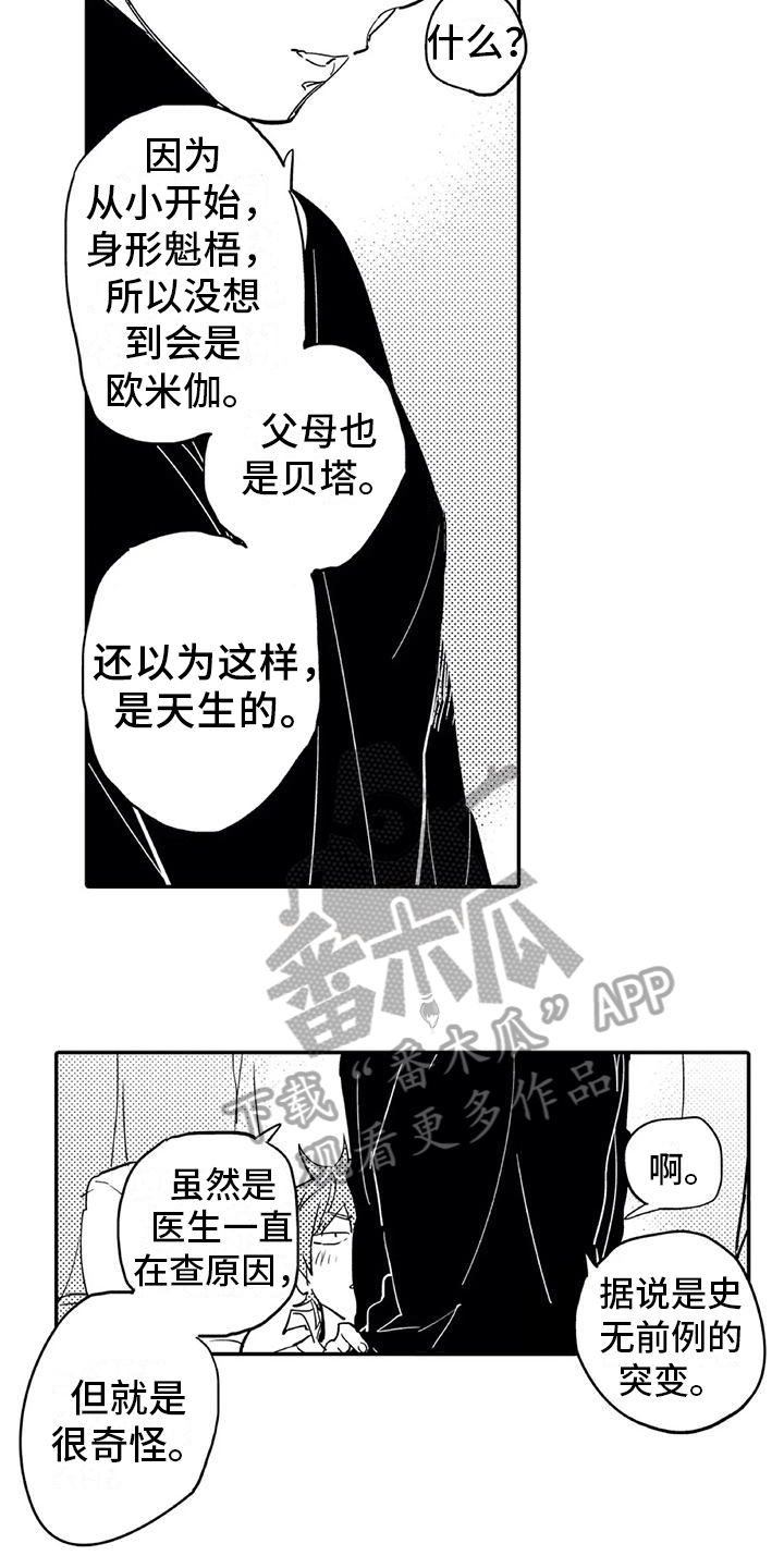 第5章：缺点9
