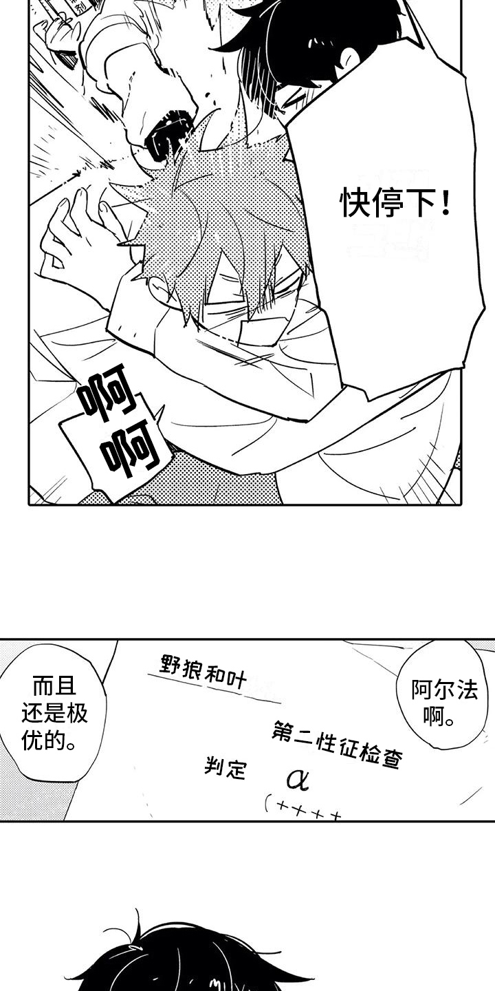 第4章：开心12