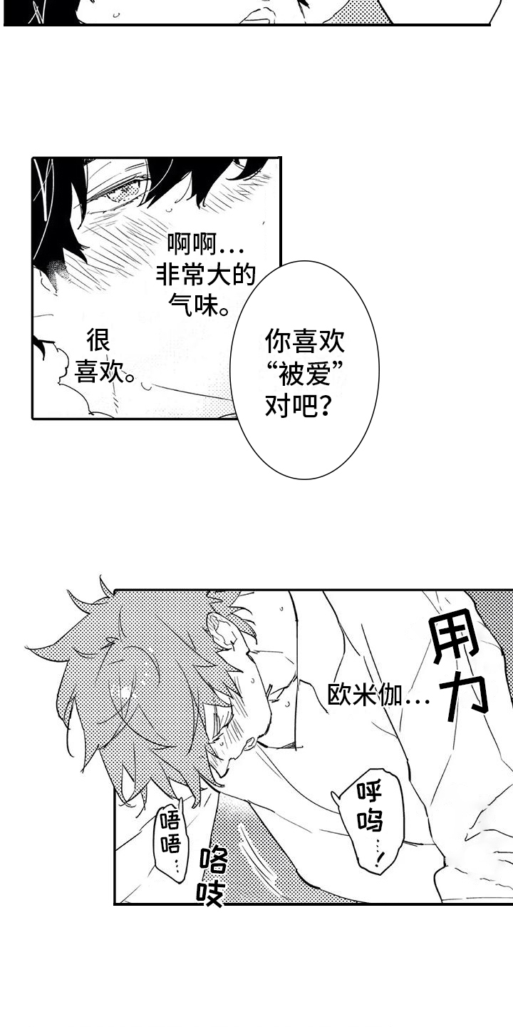 第18章：允许12
