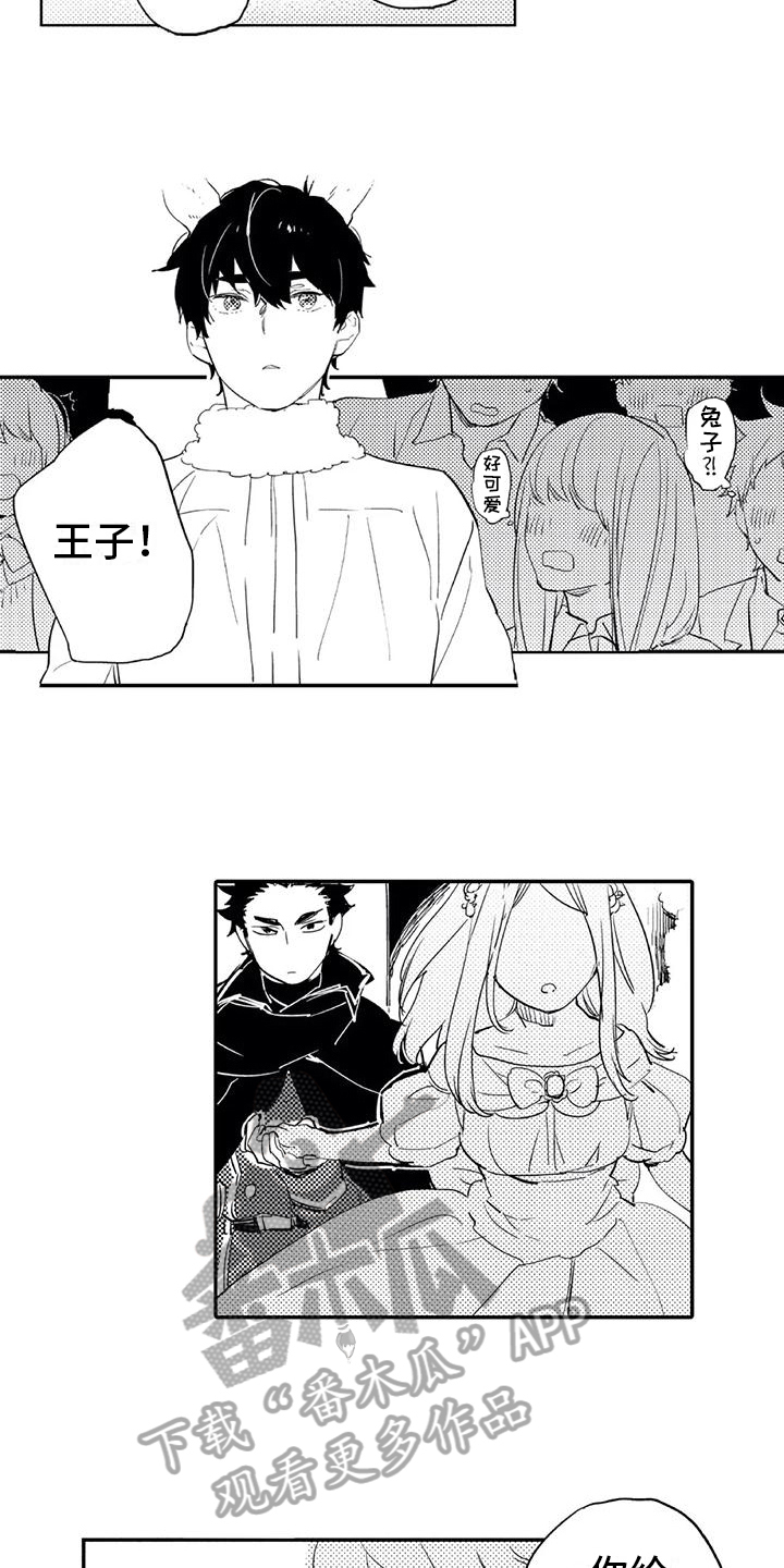 第17章：庆典5