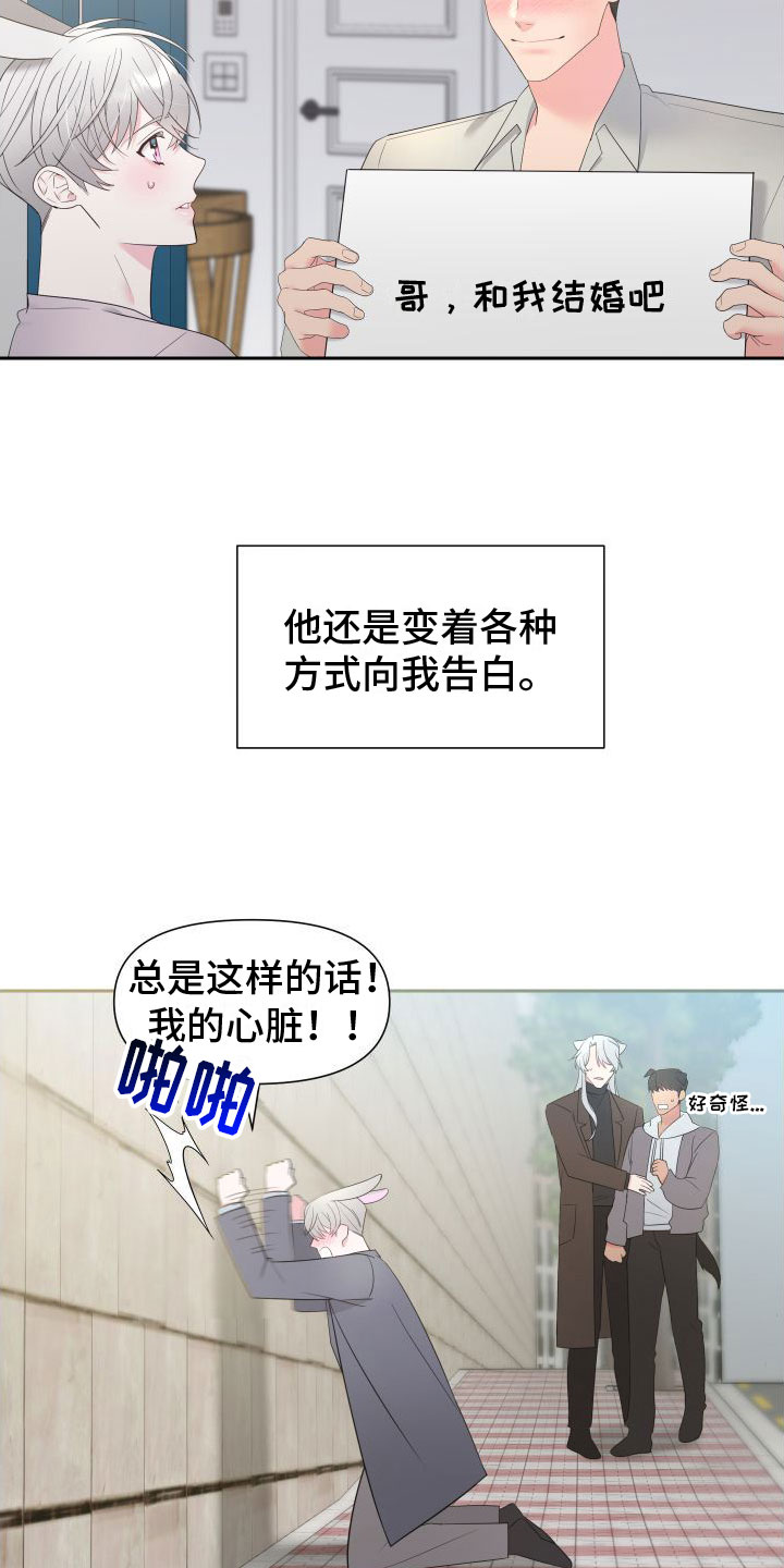 第1章：令人困扰的告白17