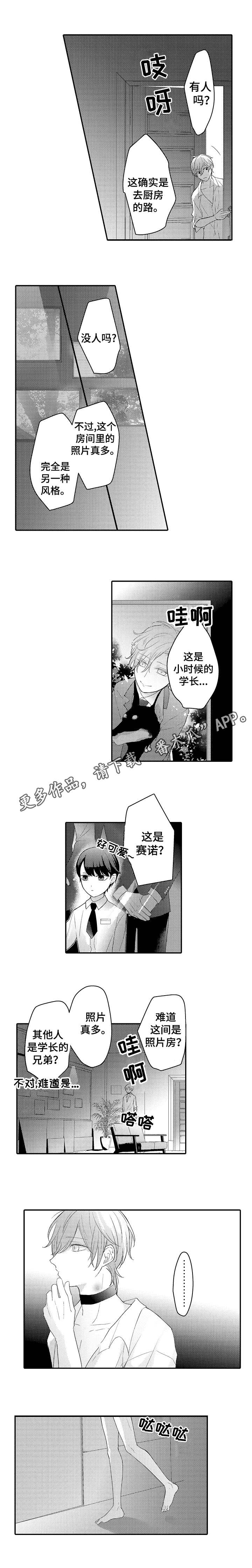 第19章：照片7