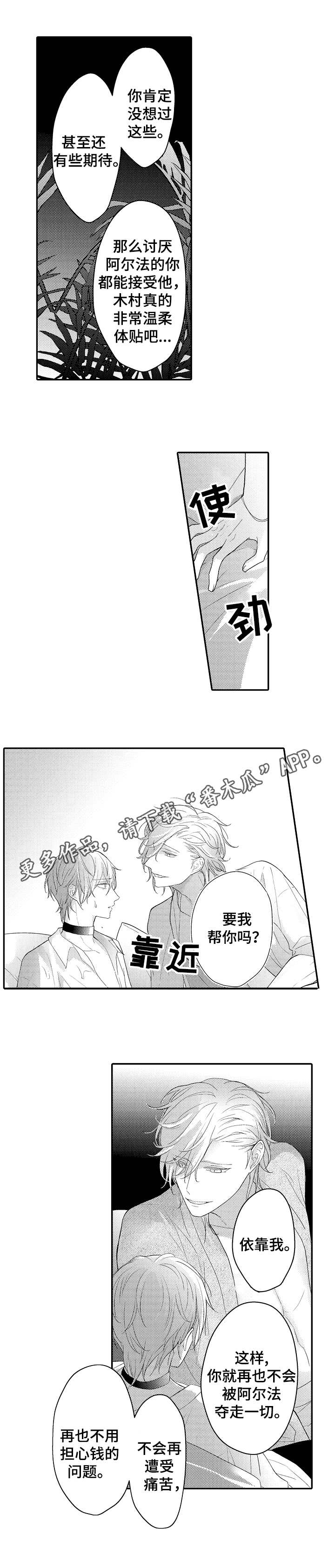 第21章：选择权0