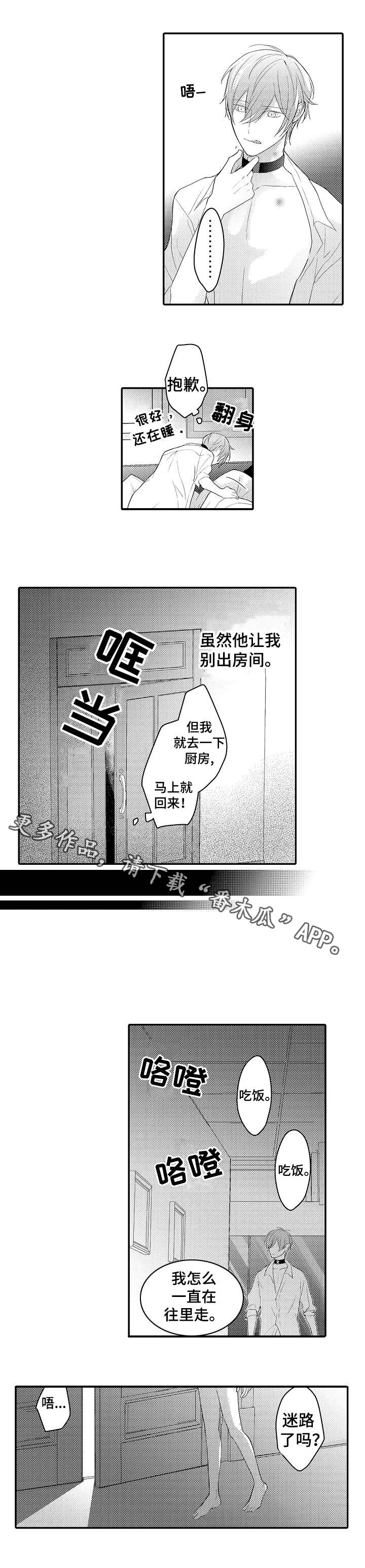 第19章：照片6