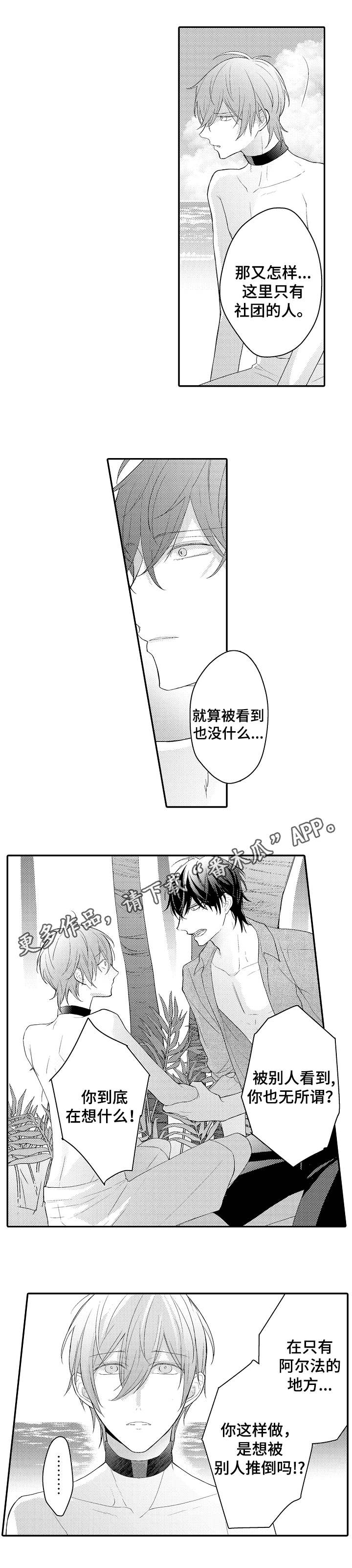 第18章：何去何从7