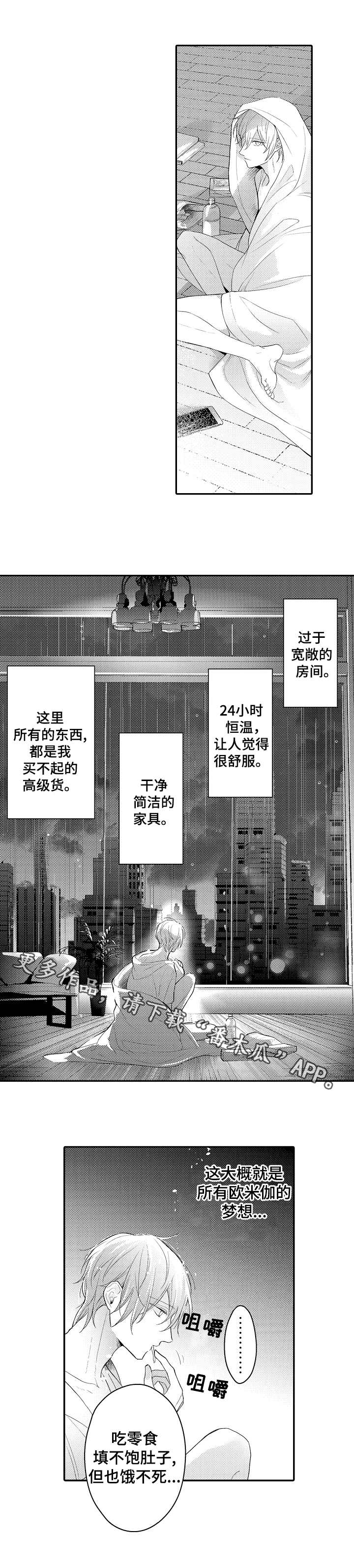 第22章：宠物1