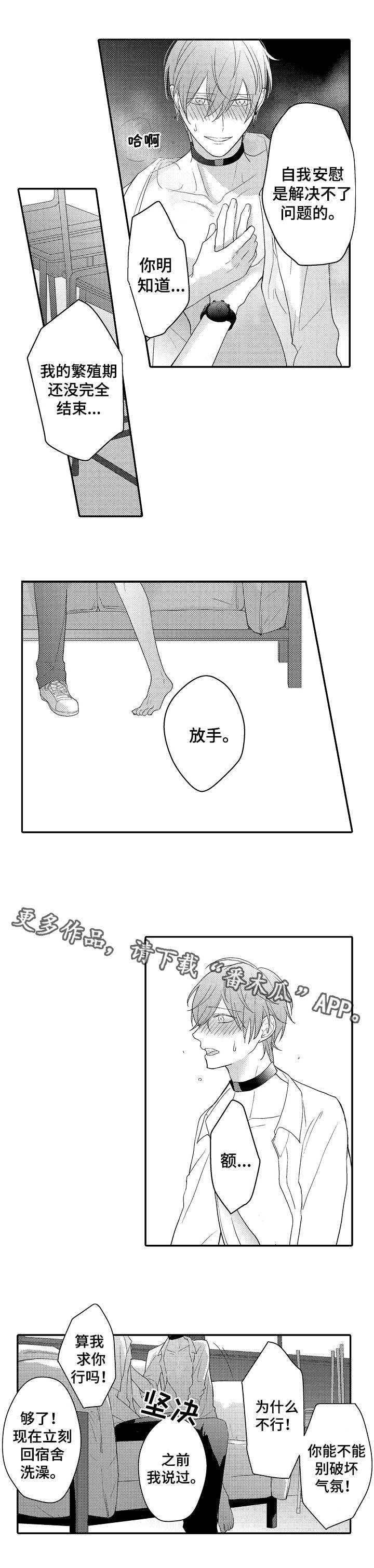第10章：真心0