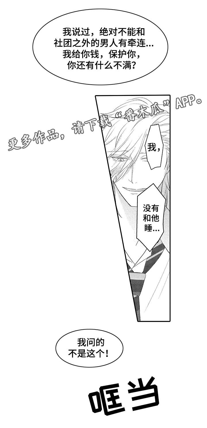 第4章：计划5