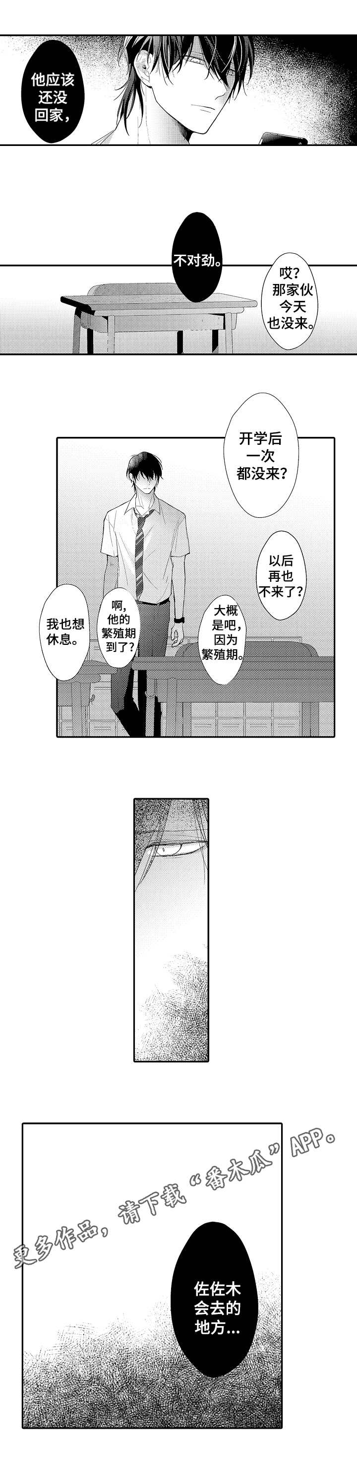 第21章：选择权4
