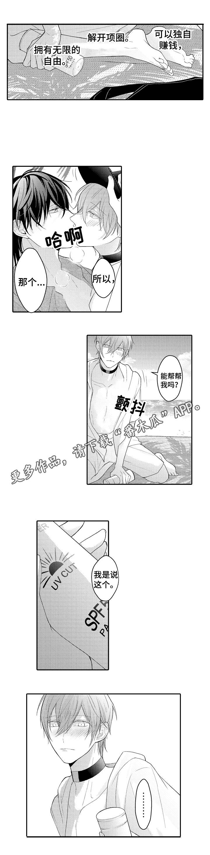 第18章：何去何从3
