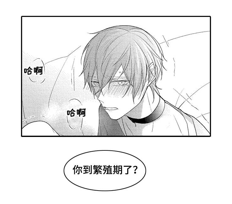 第5章：引诱4