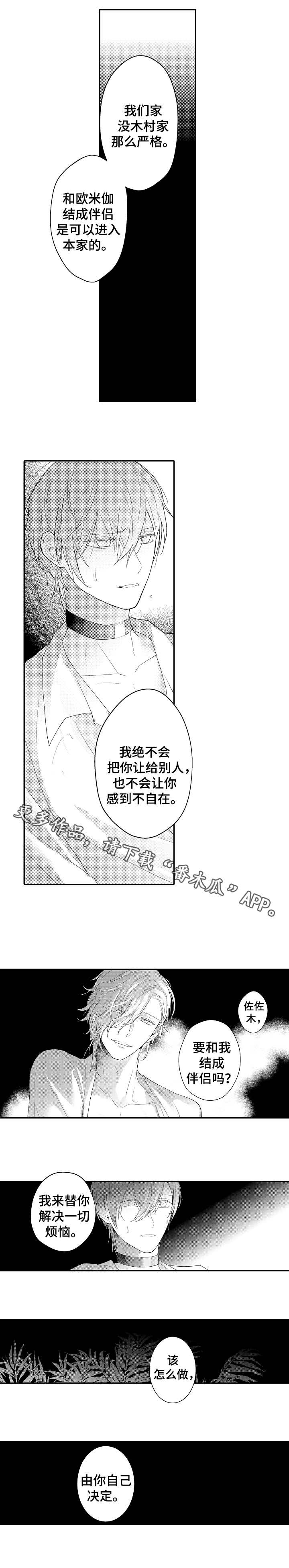 第21章：选择权1