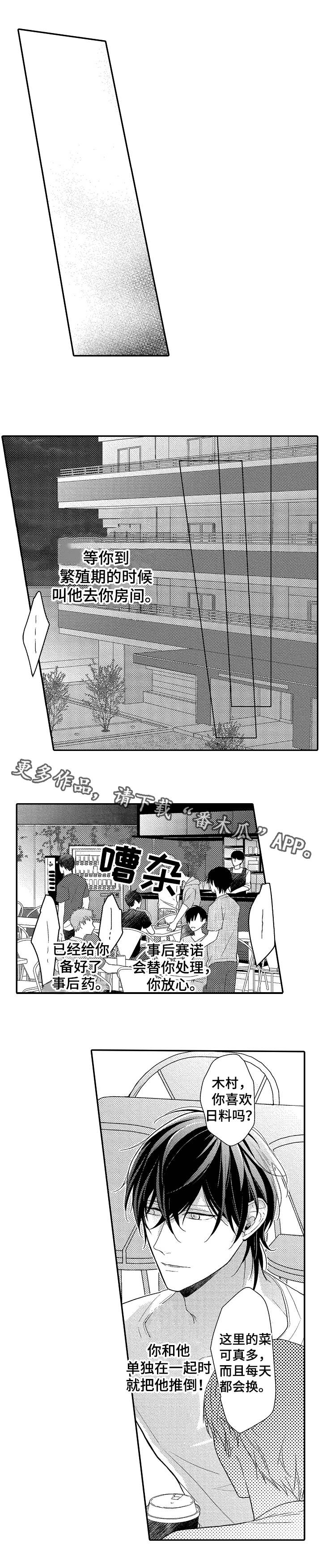 第4章：计划9