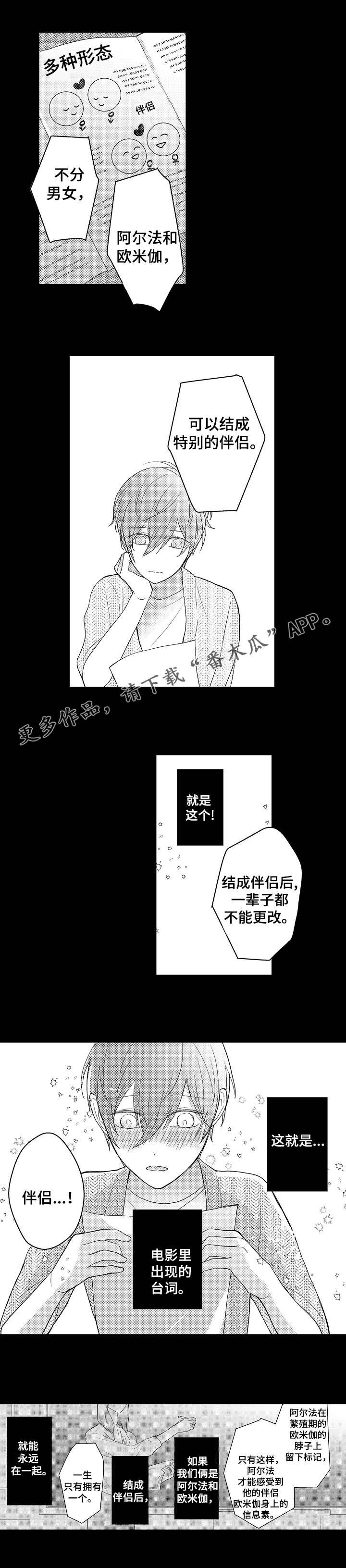 第14章：欧米伽5