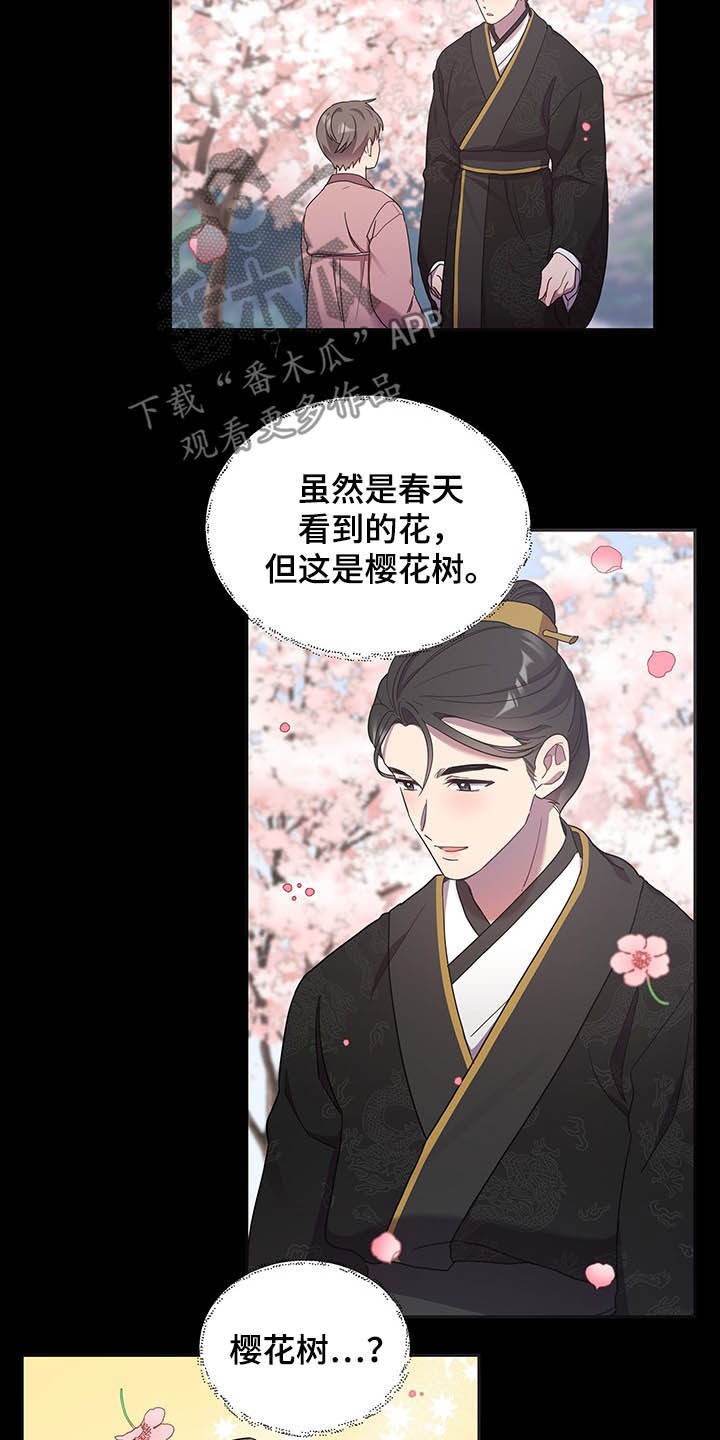 第29章：站稳脚跟16