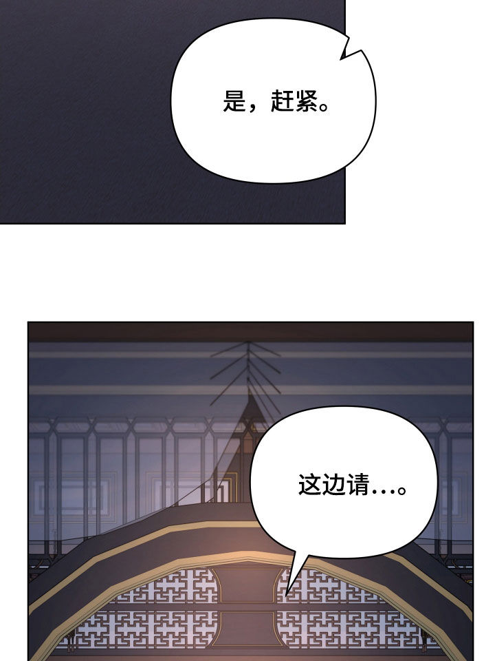 第91章：刺客14