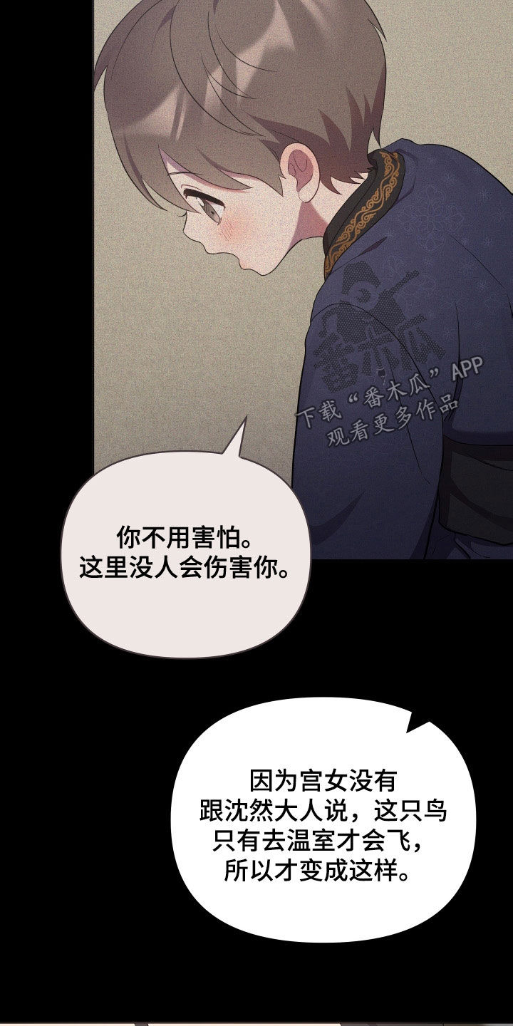第83章：金盏草25