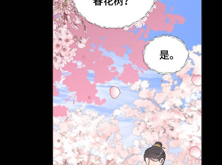 第29章：站稳脚跟15