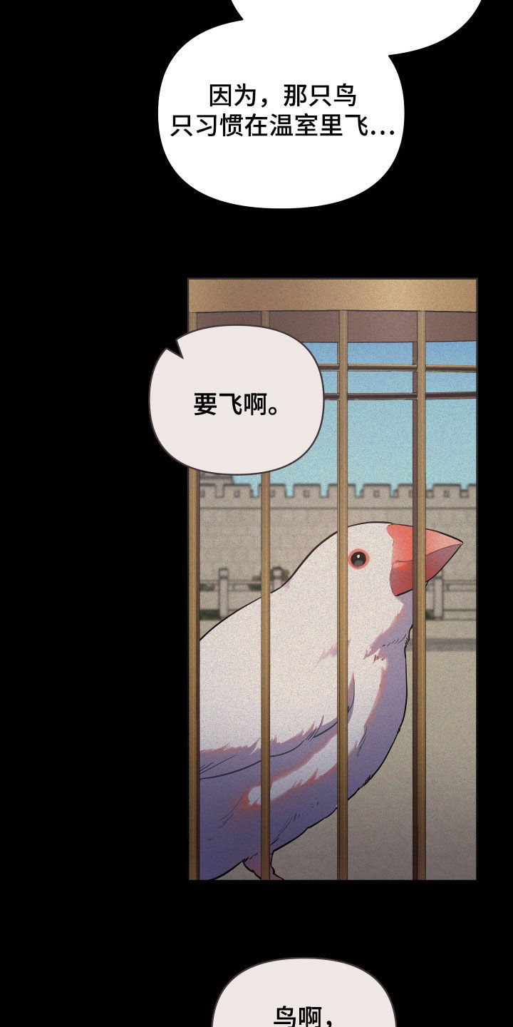 第83章：金盏草23