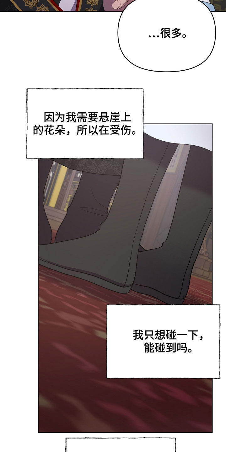 第63章：是否原谅6