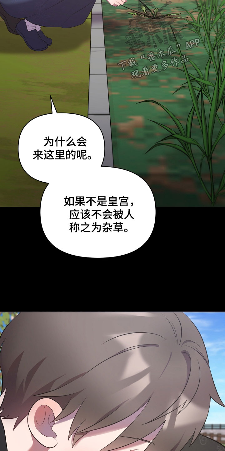 第85章：不是白痴14