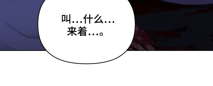 第91章：刺客29