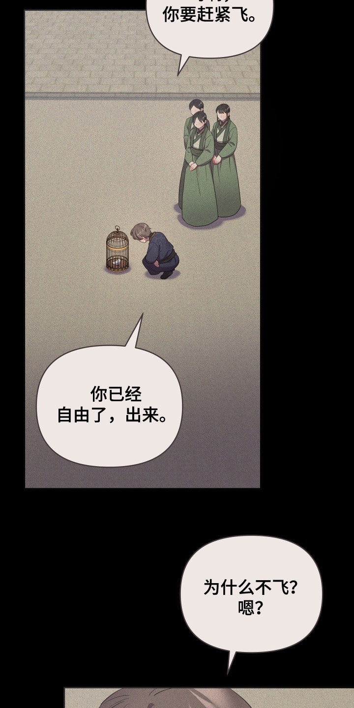 第83章：金盏草24