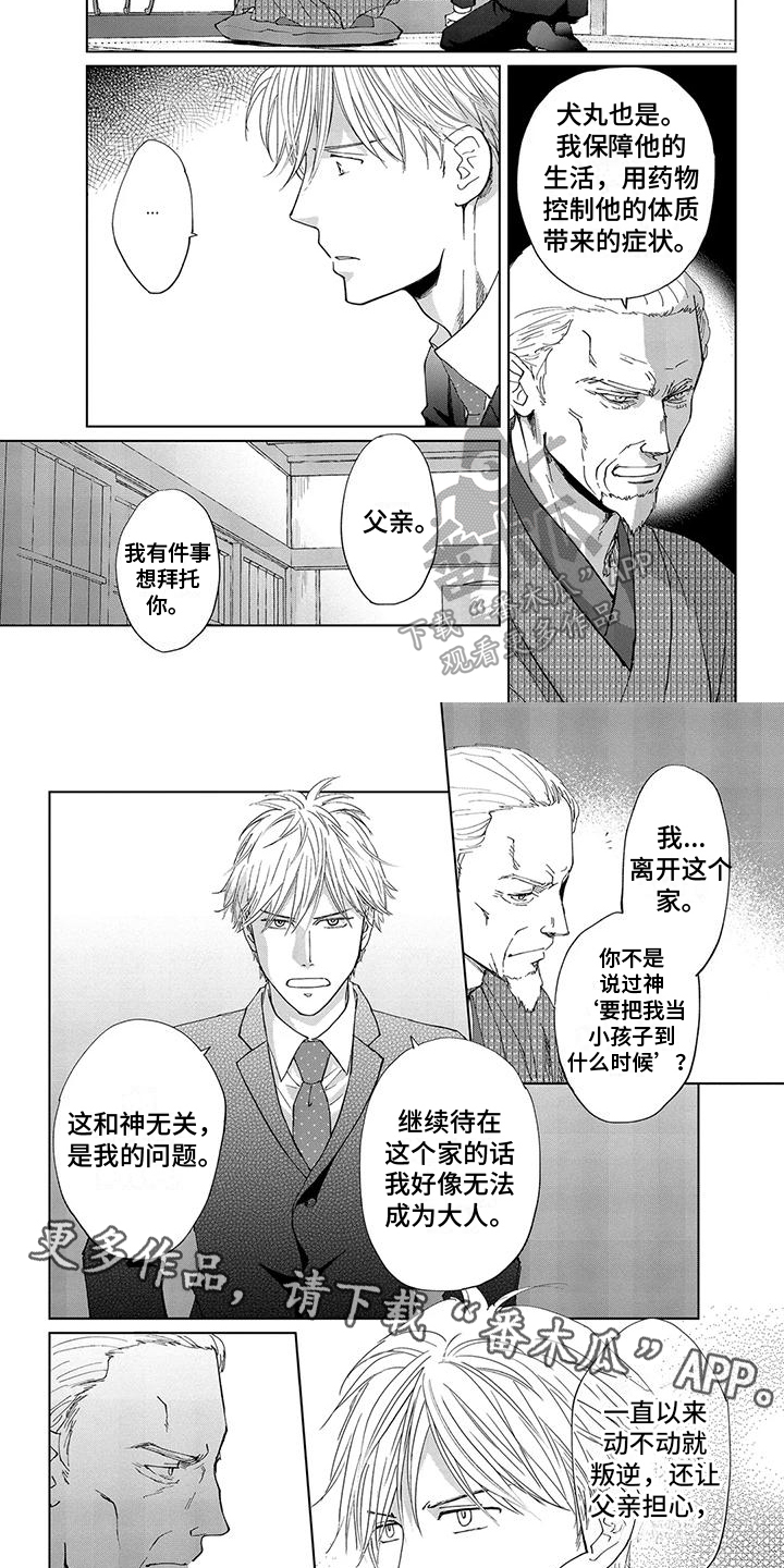 第14章：决定6
