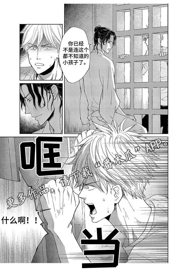 第6章：距离5