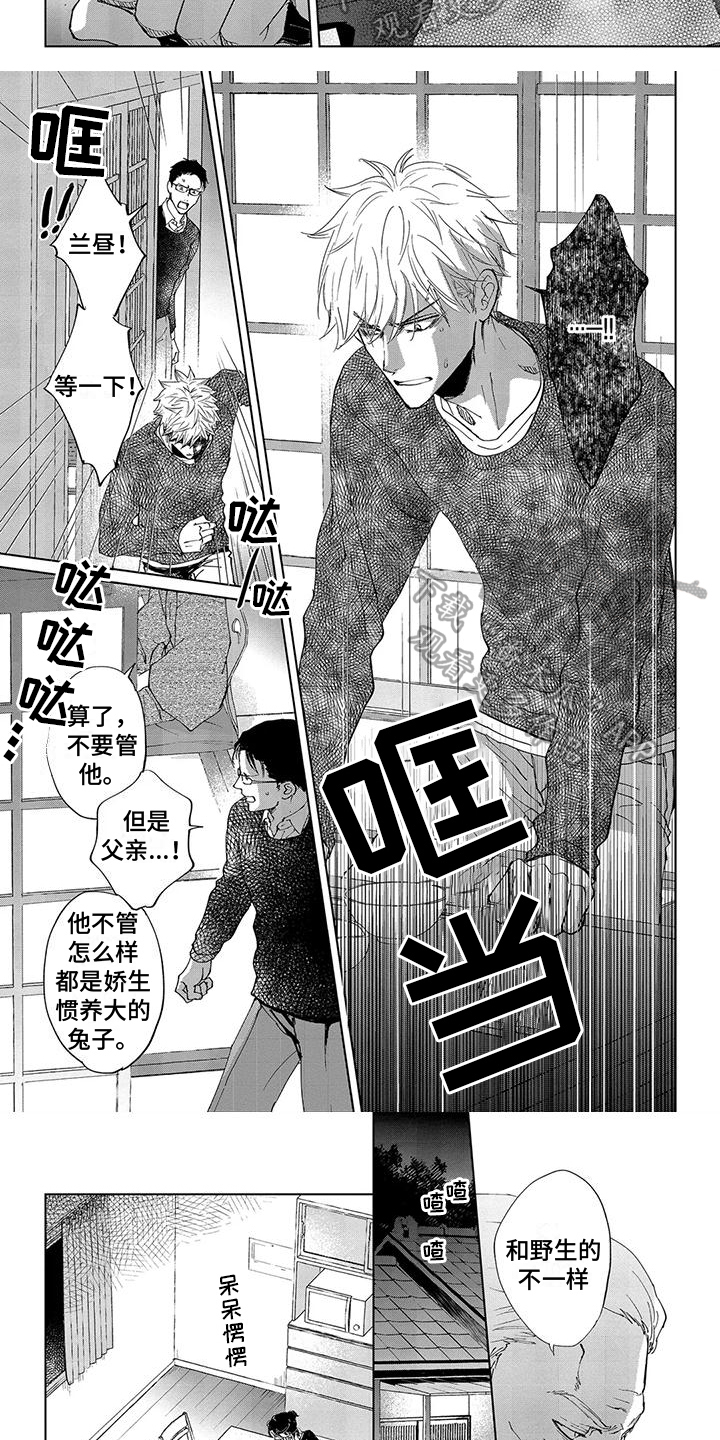 第4章：喜欢1