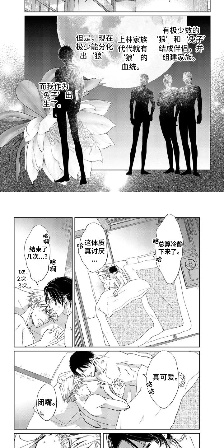 第1章：体质2