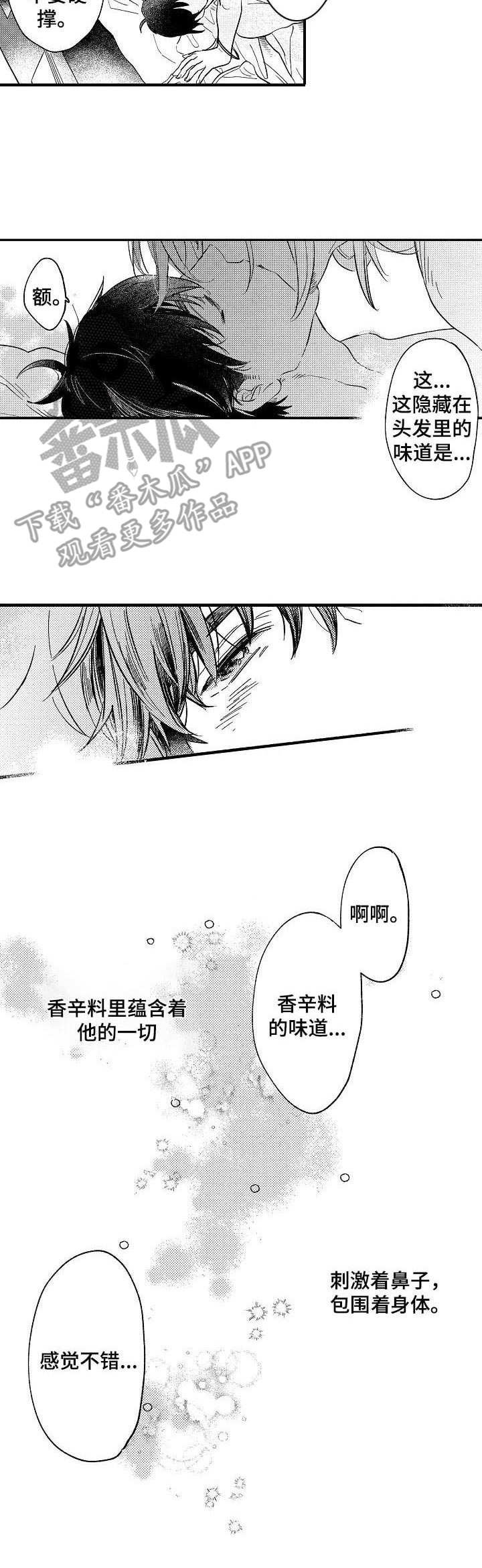 第23章：香辛料8