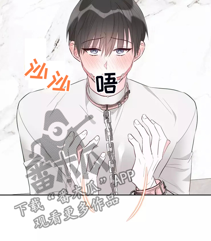 第71章：风水轮流转3
