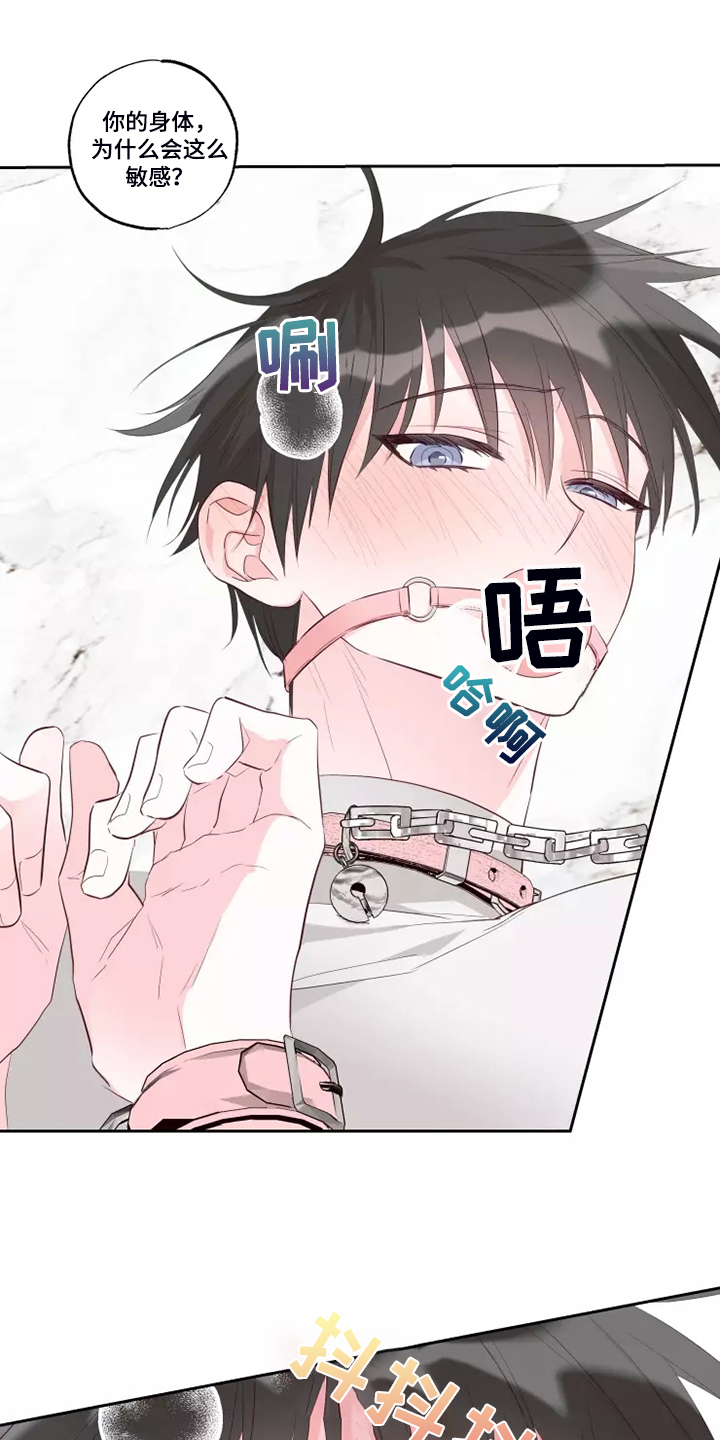 第71章：风水轮流转11
