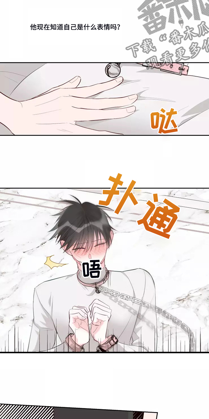 第71章：风水轮流转5