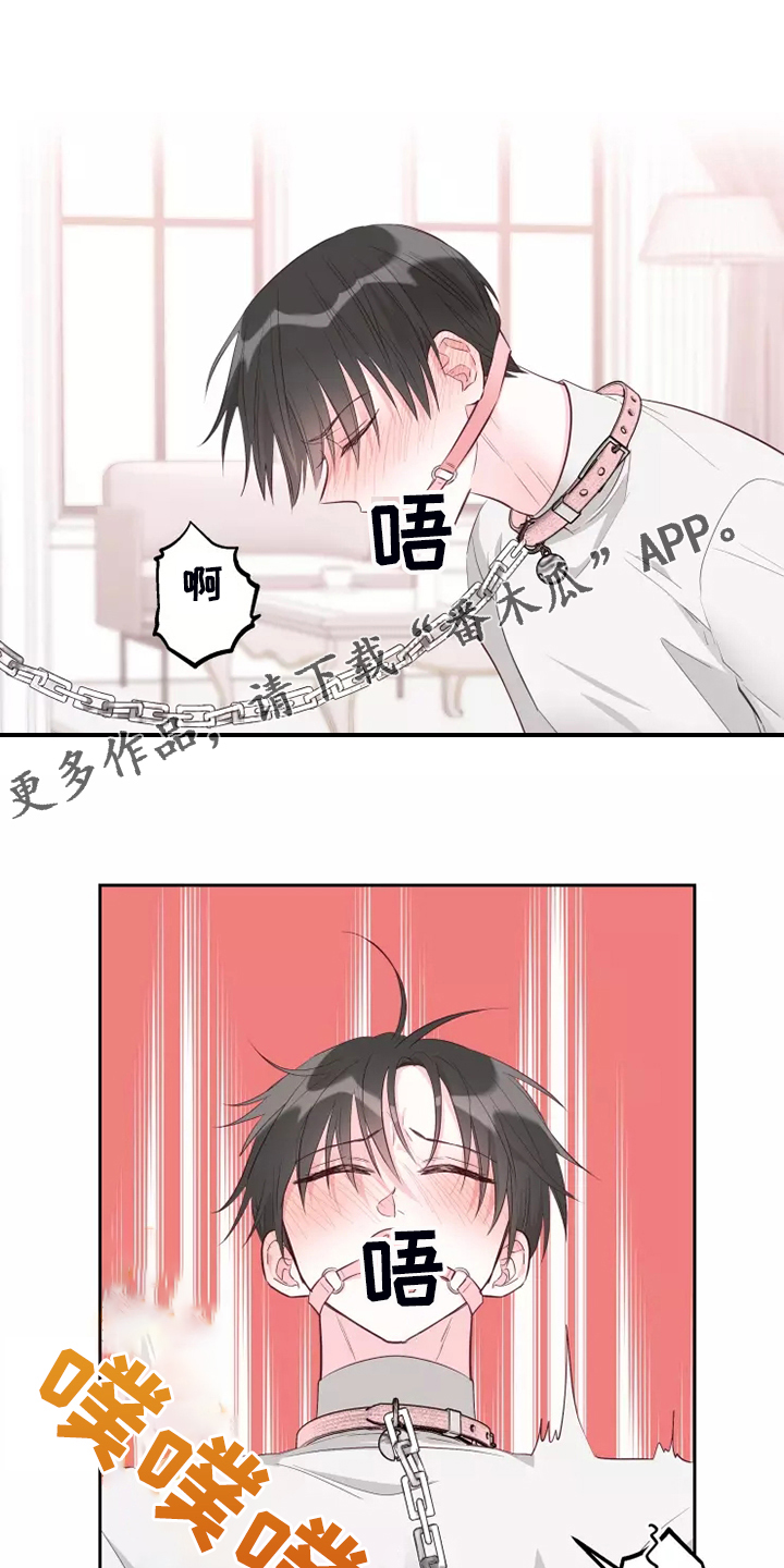 第71章：风水轮流转0