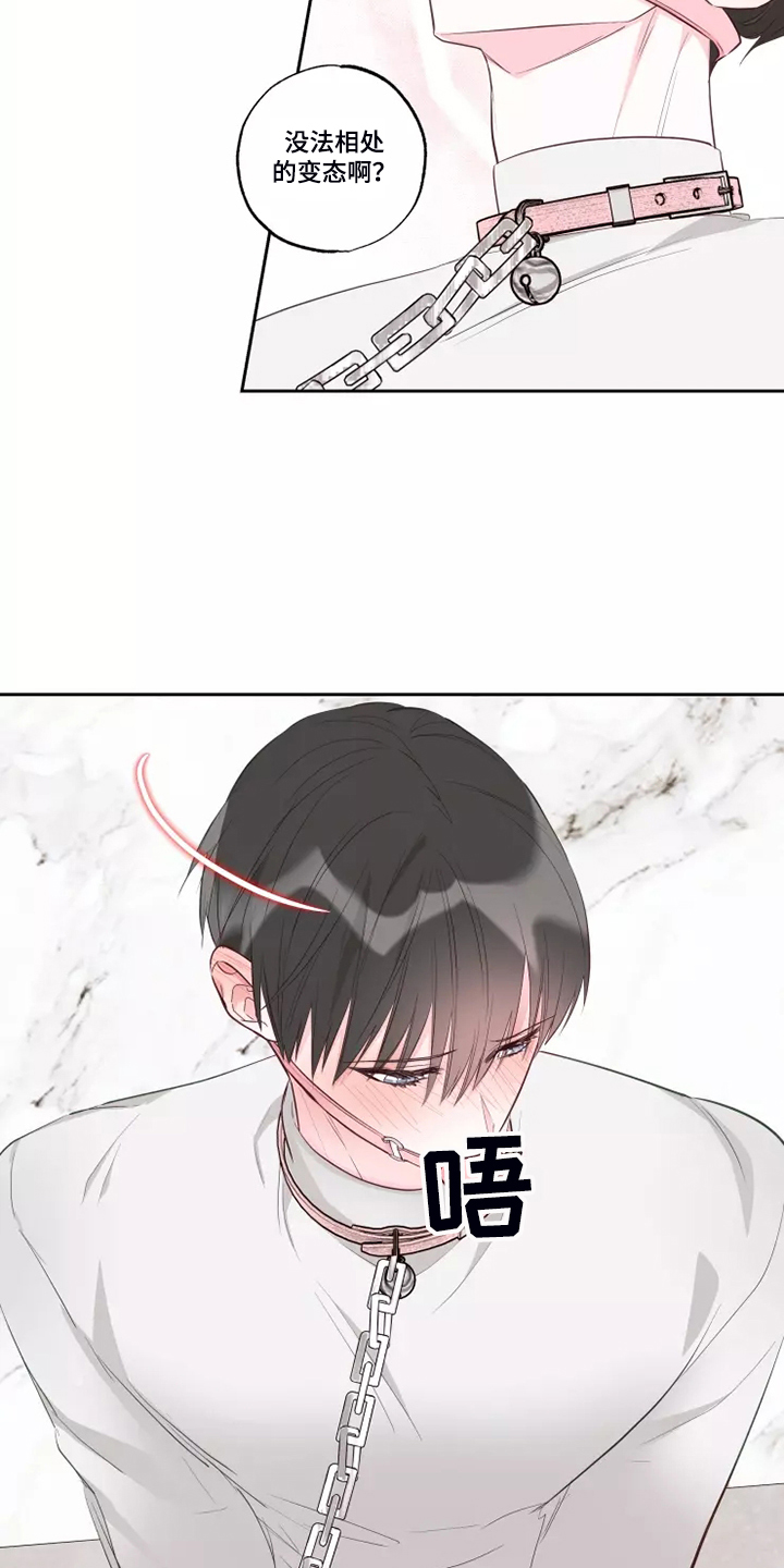第70章：知道原因14